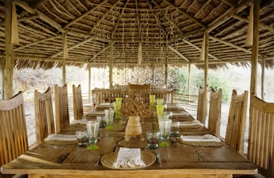 Tanzania Ruaha kigelia family safari