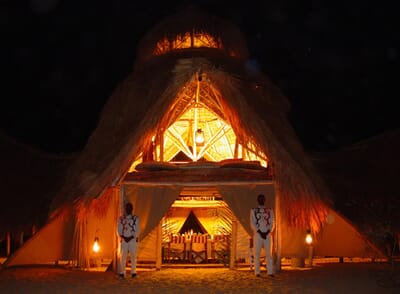 Tanzania Greystoke Mahale family safari