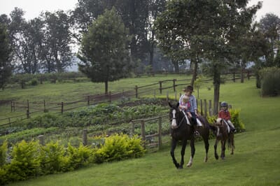 Tanzania Ngorongoro The Manor family safari