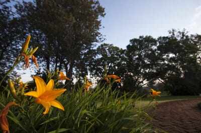 Tanzania Ngorongoro The Manor family safari
