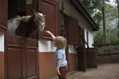 Tanzania Ngorongoro The Manor family safari