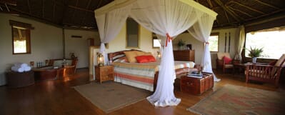 Kenya Amboseli elewana tortillis