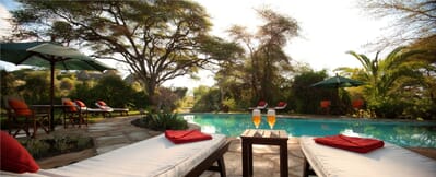 Kenya Amboseli elewana tortillis