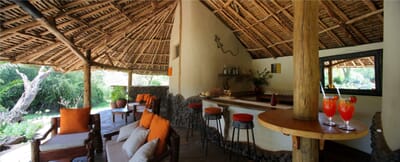 Kenya Amboseli elewana tortillis