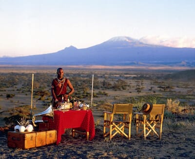 Kenya Amboseli elewana tortillis