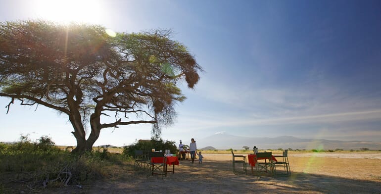 Kenya Amboseli elewana tortillis
