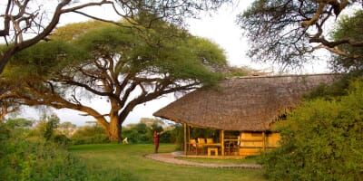 Kenya Amboseli elewana tortillis