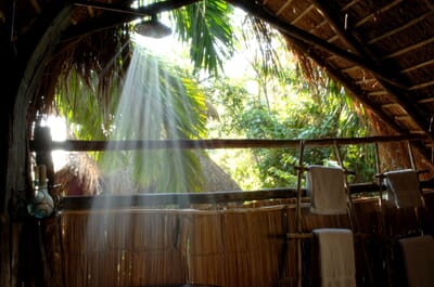 Tanzania Greystoke Mahale family safari