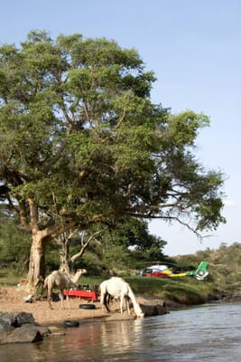 Kenya Laikipia Ol Malo Lodge family safari