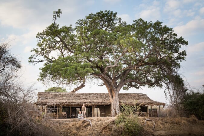 Tanzania Ruaha kigelia family safari