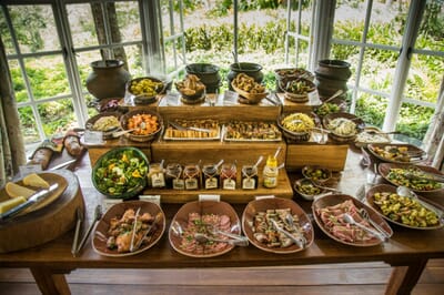 Tanzania Ngorongoro Gibb's Farm family safari