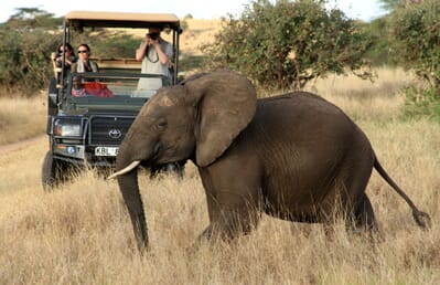 Kenya Lewa Wilderness family safari