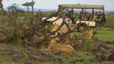 Kenya Masai Mara Karen Blixen Camp family safari