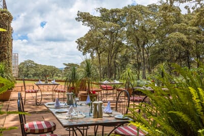 Kenya Nairobi Giraffe Manor family safari