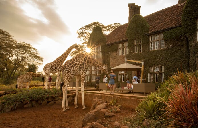 Kenya Nairobi Giraffe Manor family safari