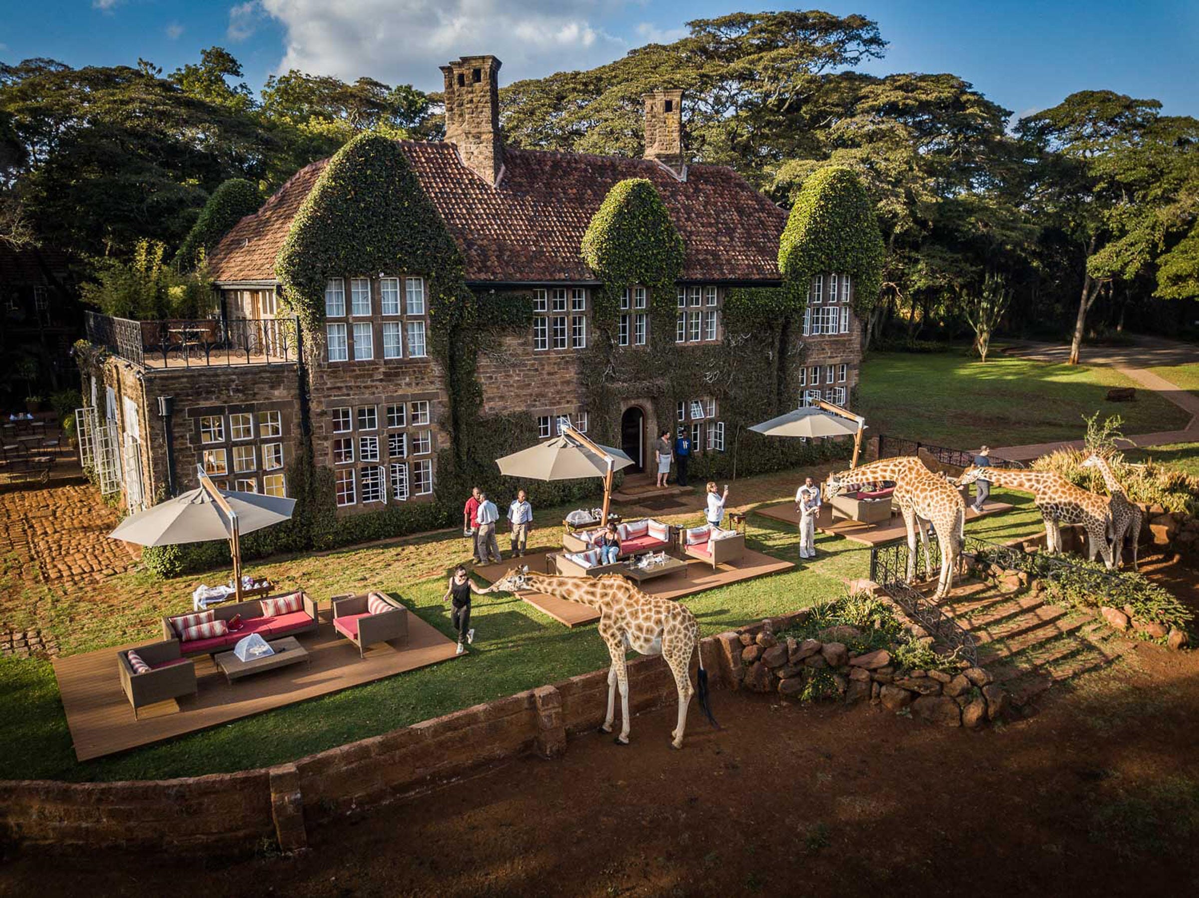 Giraffe Manor - Coral Tree - Luxury Family Safari Holidays