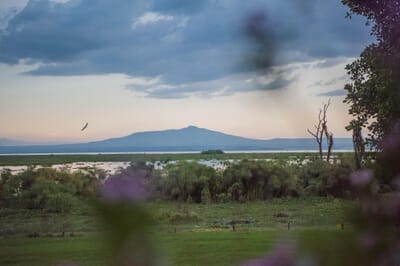 Kenya Lake Naivasha Loldia House family safari