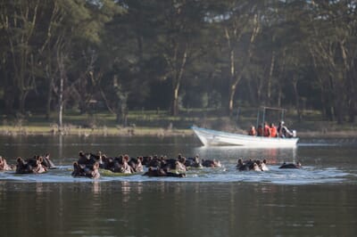Kenya Lake Naivasha Loldia House family safari