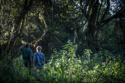 Kenya Lake Naivasha Loldia House family safari