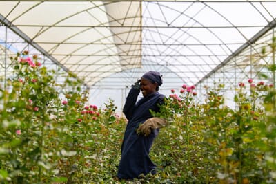 Kenya Lake Naivasha Loldia House family safari