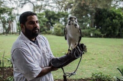 Kenya Lake Naivasha Loldia House family safari