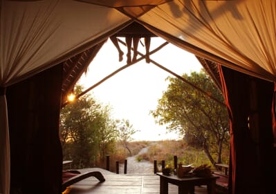 Tanzania Greystoke Mahale family safari