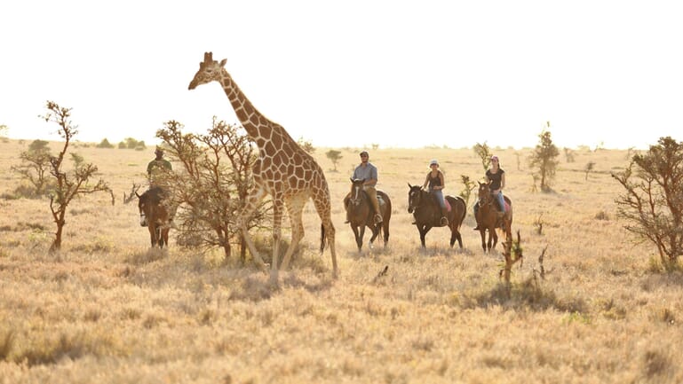 Kenya Lewa Wilderness family safari