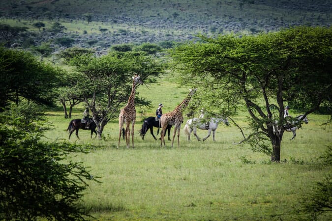 Kenya Chyulu Hills Amboseli Ol Donyo family safari