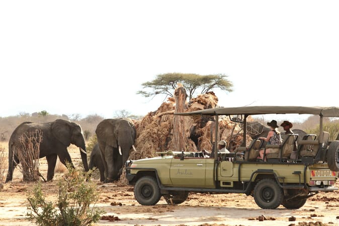 Tanzania Ruaha Jabali Ridge family safari