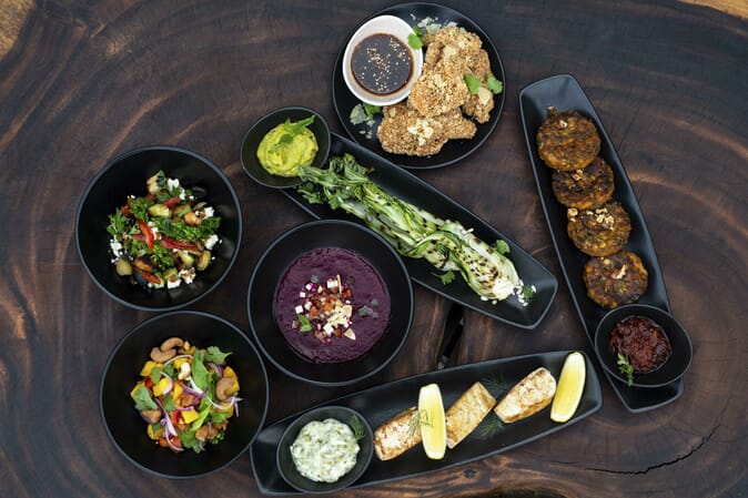 Tanzania Ruaha Jabali Ridge family safari