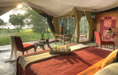 Kenya Ol Pejeta Kicheche Laikipia family safari