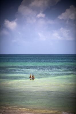 Kenya Galu Beach Diani Kinondo Kwetu family holiday