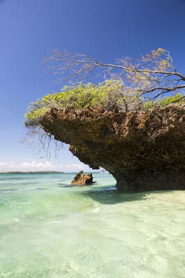 Kenya Galu Beach Diani Kinondo Kwetu family holiday
