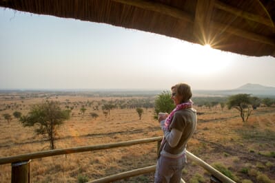 Tanzania Serengeti Kubu Kubu family safari