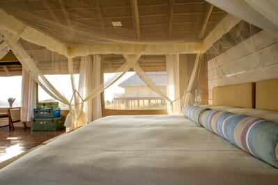 Tanzania Serengeti Kubu Kubu family safari