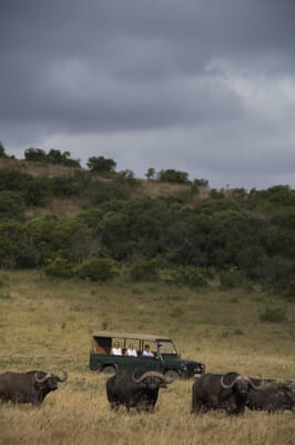 Kenya Borana Laragai House family safari