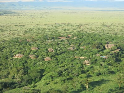 Kenya Lewa Wilderness family safari