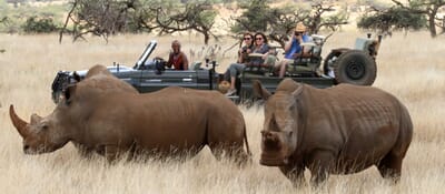 Kenya Lewa Wilderness family safari