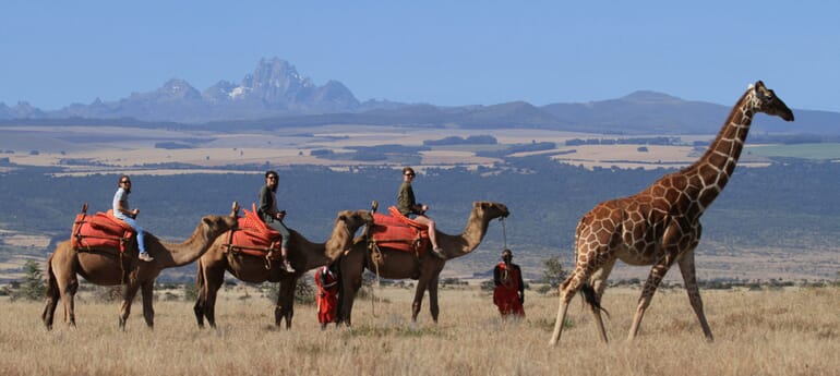 Kenya Lewa Wilderness family safari
