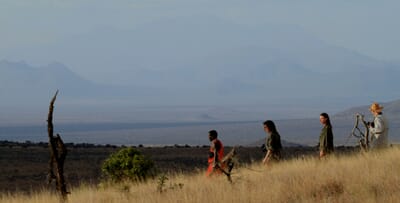 Kenya Lewa Wilderness family safari