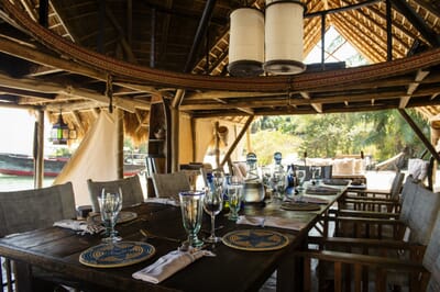 Tanzania Greystoke Mahale family safari