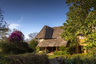 Kenya Lewa Wilderness family safari