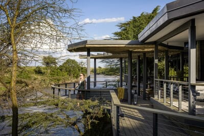 Kenya Masai Mara Sanctuary Olonana family safari