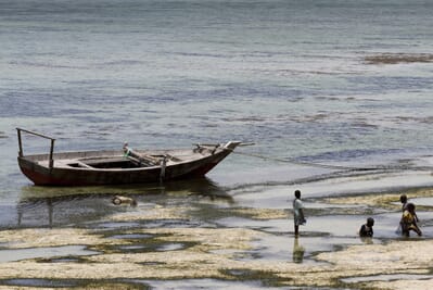Tanzania Zanzibar Matemwe Beach House family safari