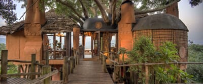 Tanzania Ngorongoro crater lodge family safari