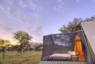 Tanzania Serengeti Olakira Migration Camp family safari