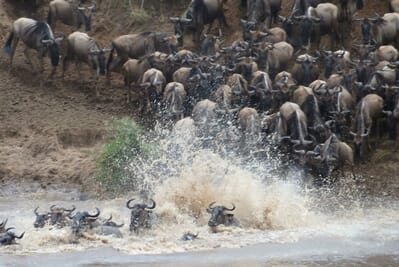 Tanzania Serengeti Olakira Migration Camp family safari