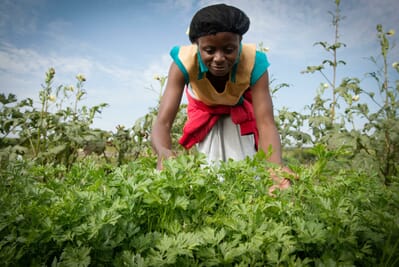 Tanzania Serengeti Olakira Migration Camp family safari