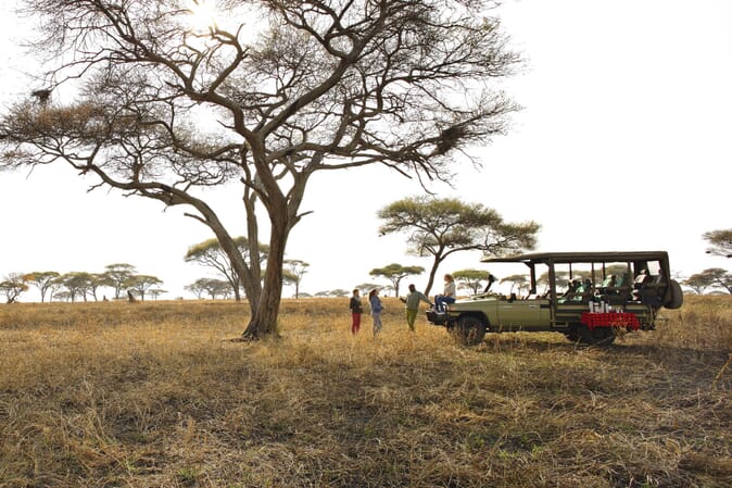 Tanzania Tarangire Oliver's Camp family safari