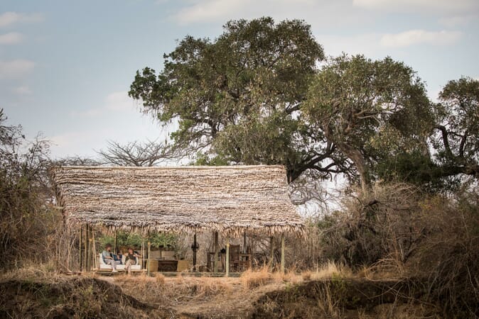 Tanzania Ruaha kigelia family safari